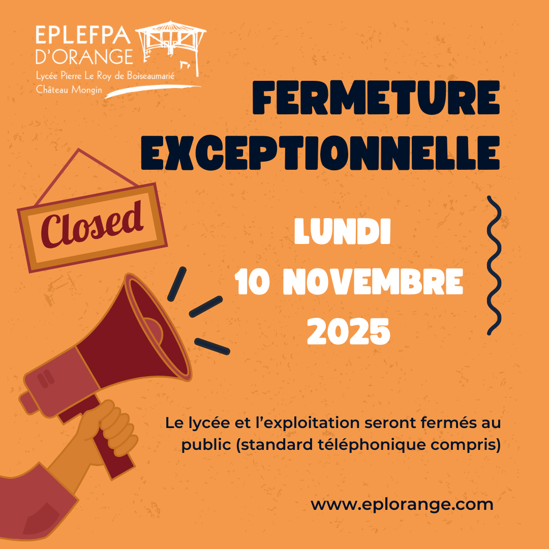 Publication Instagram annonce fermeture exceptionnelle entreprise simple illustration jaune