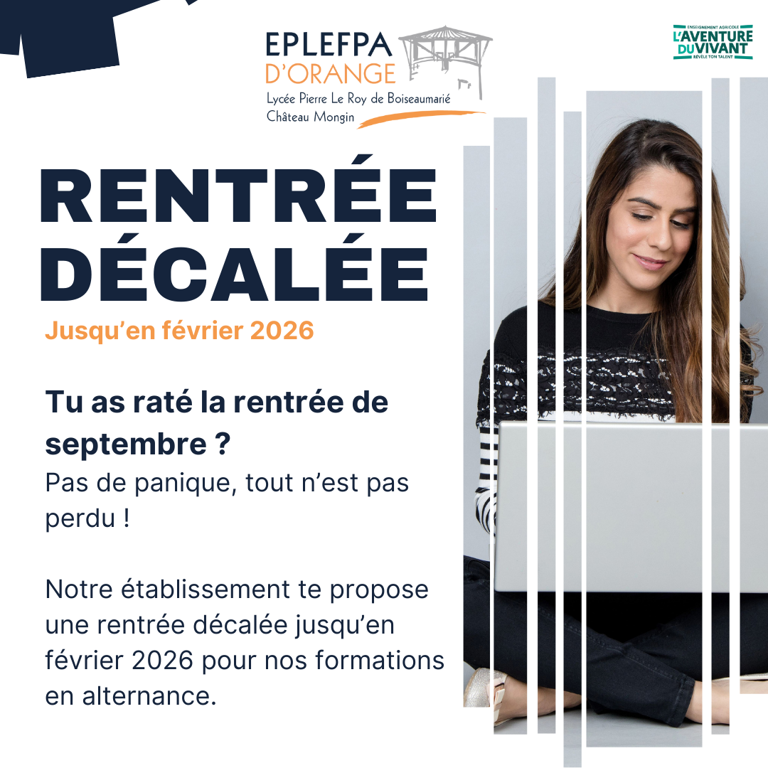 Rentree décalée 1